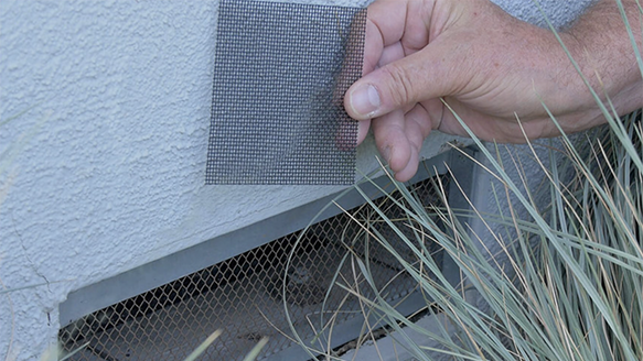 Foundation Vent