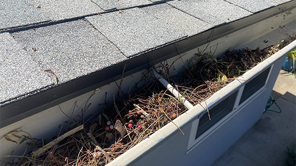 Gutter Guards