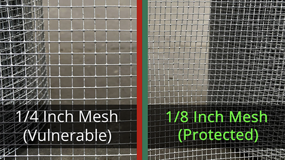 Mesh Examples